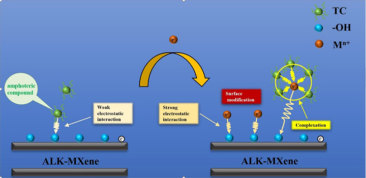 Surface Complexation Enhanced Adsorption of Tetracycline by ALKMXene - Advances in Engineering