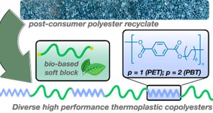 Utility of Chemical Upcycling in Transforming Postconsumer PET to PBT-Based Thermoplastic Copolyesters Containing a Renewable Fatty-Acid-Derived Soft Block - Advances in Engineering