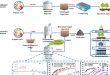 Mining organic wastes by integrating hydrothermal carbonization and anaerobic digestion - Advances in Engineering