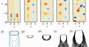 Dynamics of a rigid-flexible coupling system in a uniform flow - Advances in Engineering
