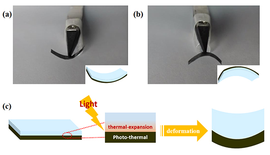Interfacial modulation of TiN nanoribbons/graphene oxide for high performance photoactuators - Advances in Engineering