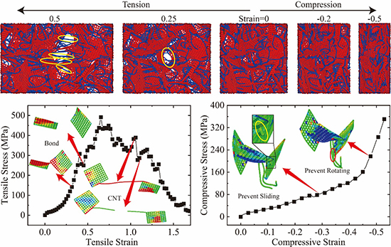The mechanical mechanism of graphene foams tuned by carbon nanotubes - Advances in Engineering