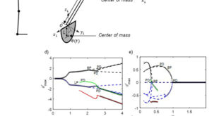 Dynamics of pendulum-based systems under human arm rotational movements - Advances in Engineering