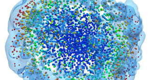 Perform very large-scale simulation of droplet group evaporation and investigate the effect of mutual interference of droplets. - Advances in Engineering