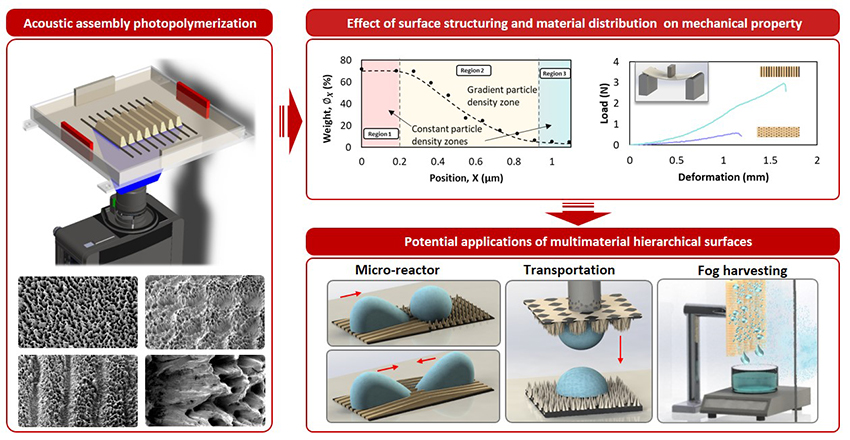 Acoustic-Assisted Photopolymerization: Revolutionizing Fabrication of Multimaterial Hierarchical Surfaces - Advances in Engineering Acoustic-Assisted Photopolymerization: Revolutionizing Fabrication of Multimaterial Hierarchical Surfaces - Advances in Engineering