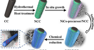Dual Regulation Strategy for Enhanced Supercapacitor Electrode Materials - Advances in Engineering