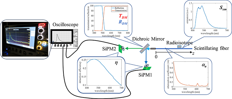 Position Sensing of Beta Particle Emitters Using Self-Absorption in Plastic Scintillation Fibers - Advances in Engineering