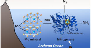 Unlocking the Mysteries of Biological Nitrogen Fixation: The Role of Mineral-Bound Trace Metals - Advances in Engineering