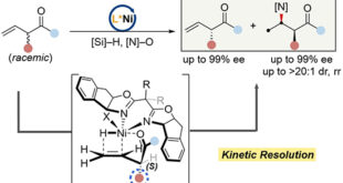 Cracking the Selectivity Code: Unveiling the Catalyst Secrets in NH3-SCR of NO - Advances in Engineering