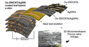 Biodegradable All-Leaf E-Skin for Enhanced Gesture Recognition and Human Motion Monitoring - Advances in Engineering