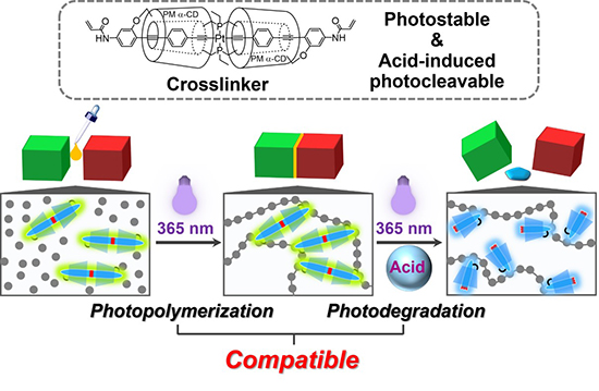 Shining Light on Reversibility: Dual-Action Photoprocessable Materials with Acid-Triggered Platinum Magic - Advances in Engineering