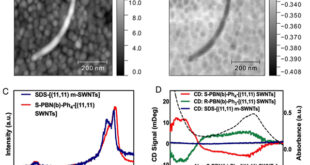 Reversible Band Gap Engineering in Metallic Carbon Nanotubes via Non-Covalent Polymer Wrapping - Advances in Engineering