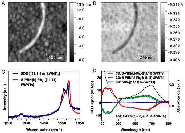 Reversible Band Gap Engineering in Metallic Carbon Nanotubes via Non-Covalent Polymer Wrapping - Advances in Engineering