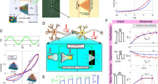 Developing Aqueous Volatile Memristors for Neuromorphic Computing: Bridging Biological and Artificial Information Processing - Advances in Engineering