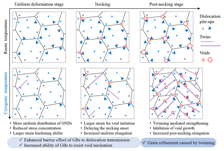 Study of the mechanism of the strength-ductility synergy of α-Ti at cryogenic temperature via experiment and atomistic simulation - Advances in Engineering