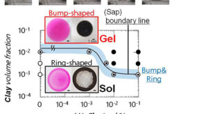 Influence of Sol–Gel Transitions on Drying Morphologies in Smectite Clay Dispersions: A Pathway to Predictive Control of Colloidal Pattern Formation - Advances in Engineering