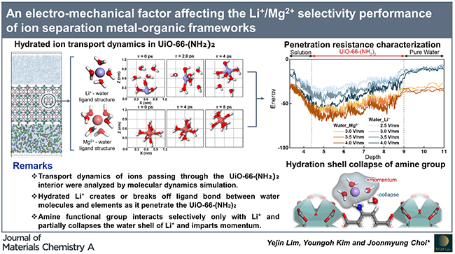Electro-Mechanical Dynamics Driving Lithium Selectivity in Amine-Functionalized MOFs - Advances in Engineering