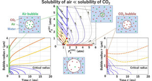 Nonlinear Dynamics of Multi-Gas Bubbles: Time Evolution of Carbon Dioxide and Air in Aqueous Systems - Advances in Engineering