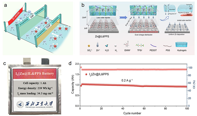 Revolutionizing Zinc Metal Batteries: Tackling Dendrites and Hydrogen Evolution by Helmholtz Plane Engineering - Advances in Engineering