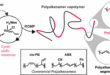 Transforming Waste into Value: Polyalkenamers as Chain Transfer Agents in Sustainable Polymer Upcycling - Advances in Engineering