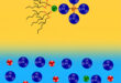 Sustainable Lithium Extraction: A Novel DEHEHP-Based System for High Mg/Li Brines - Advances in Engineering
