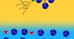Sustainable Lithium Extraction: A Novel DEHEHP-Based System for High Mg/Li Brines - Advances in Engineering