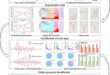 Decoding Freeze-Thaw Impacts: Multi-Scale Crack Propagation and Failure Precursors in Sandstone - Advances in Engineering