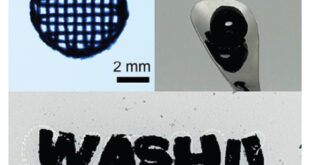 3D-Printed Bioelectronic Scaffolds: Soft Tissue-Like Hydrogels with Tunable Conductivity for Advanced Tissue Engineering - Advances in Engineering