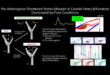 Decoding the Impact of Vortex Dynamics on Carotid Artery Health: Swirling Safeguards Against Atherosclerosis - Advances in Engineering