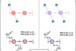 Phosphonium-Functionalized PPEs: Tailoring Water-Soluble Conjugated Polyelectrolytes for Optical Sensing and Photodynamic Applications - Advances in Engineering