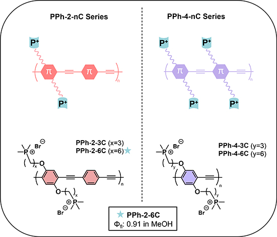Phosphonium-Functionalized PPEs: Tailoring Water-Soluble Conjugated Polyelectrolytes for Optical Sensing and Photodynamic Applications - Advances in Engineering Phosphonium-Functionalized PPEs: Tailoring Water-Soluble Conjugated Polyelectrolytes for Optical Sensing and Photodynamic Applications - Advances in Engineering