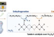 Turning Polyethylene Waste into Fuels: Breakthrough in Olefin-Intermediate Tandem Catalysis with Fe₂O₃/USY Catalysts - Advances in Engineering