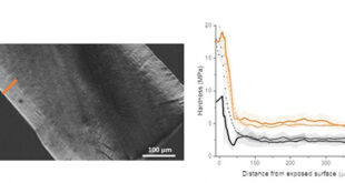 Microstructural Modulation of Polypropylene Photodegradation via Ethylene Copolymerization - Advances in Engineering