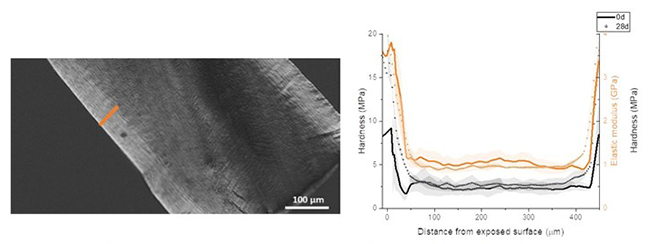 Microstructural Modulation of Polypropylene Photodegradation via Ethylene Copolymerization - Advances in Engineering Microstructural Modulation of Polypropylene Photodegradation via Ethylene Copolymerization - Advances in Engineering