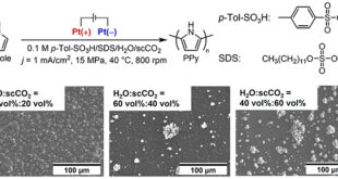 Supercritical CO₂-Driven Morphological Control of Electrodeposited Polypyrrole for Enhanced Electrochemical Performance - Advances in Engineering