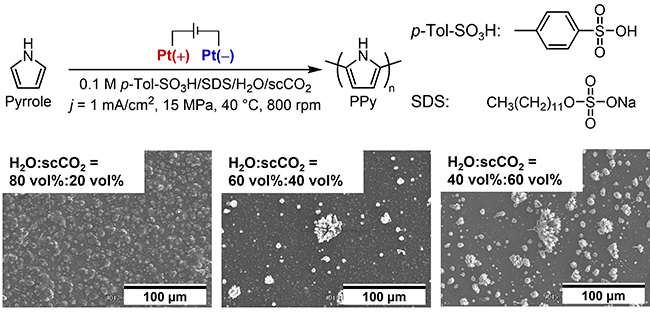 Supercritical CO₂-Driven Morphological Control of Electrodeposited Polypyrrole for Enhanced Electrochemical Performance - Advances in Engineering