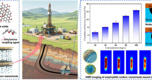 Amphiphilic Carbon Nanosheets: Redefining Interfacial Dynamics for Next-Generation Oil Recovery - Advances in Engineering