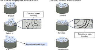 Microstructure Matters: Corrosion Vulnerability of CoCrMo Alloys in Simulated Biological Environments - Advances in Engineering
