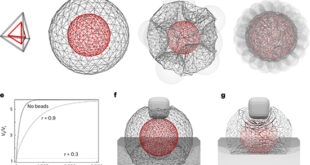 Morpho: A General-Purpose Computational Framework for Shape Optimization in Soft Matter Physics - Advances in Engineering
