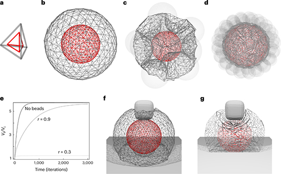 Morpho: A General-Purpose Computational Framework for Shape Optimization in Soft Matter Physics - Advances in Engineering