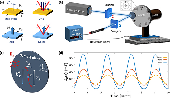 Optical Noise as a Probe of Spin-Orbit Coupling in Non-Magnetic