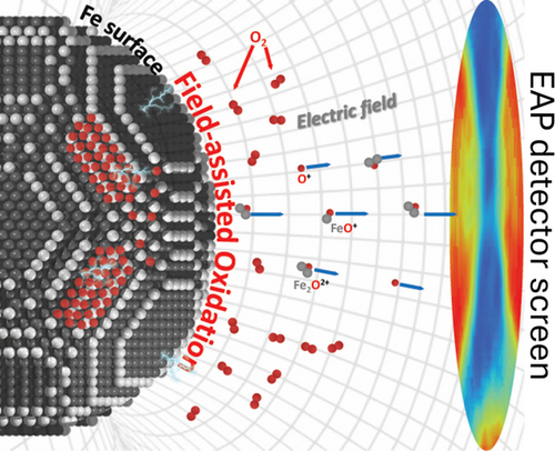 Electric Fields as Dynamic Regulators of Iron Oxidation - Advances in Engineering