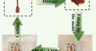 Daidzein-Based Polyhydroxyurethanes: Strong, Rapidly Self-Healing, and Recyclable Adhesives for High-Temperature Applications - Advances in Engineering