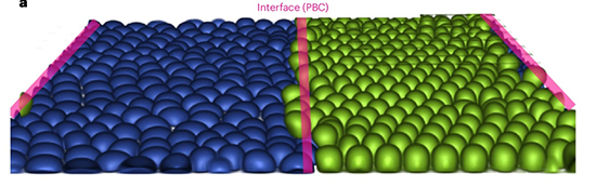 Force Transmission as the Determinant of Mechanical Cell Competition - Advances in Engineering Force Transmission as the Determinant of Mechanical Cell Competition - Advances in Engineering