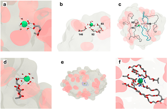 Dynamic Barium-Driven Folding of Single-Chain Polymer Nanoparticles - Advances in Engineering