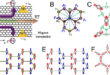 Magnon-Induced Electric Polarization and the Hidden Nernst Phenomena in Quantum Magnonics - Advances in Engineering
