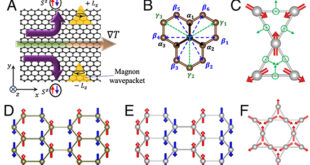 Magnon-Induced Electric Polarization and the Hidden Nernst Phenomena in Quantum Magnonics - Advances in Engineering