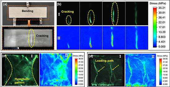 Deep-Learning-Enhanced SrAl₂O₄:(Eu²⁺, Dy³⁺, Nd³⁺) Mechanoluminescent Films for Non-Contact Distributed Sensing of Mechanical Strain and Fracture Dynamics - Advances in Engineering