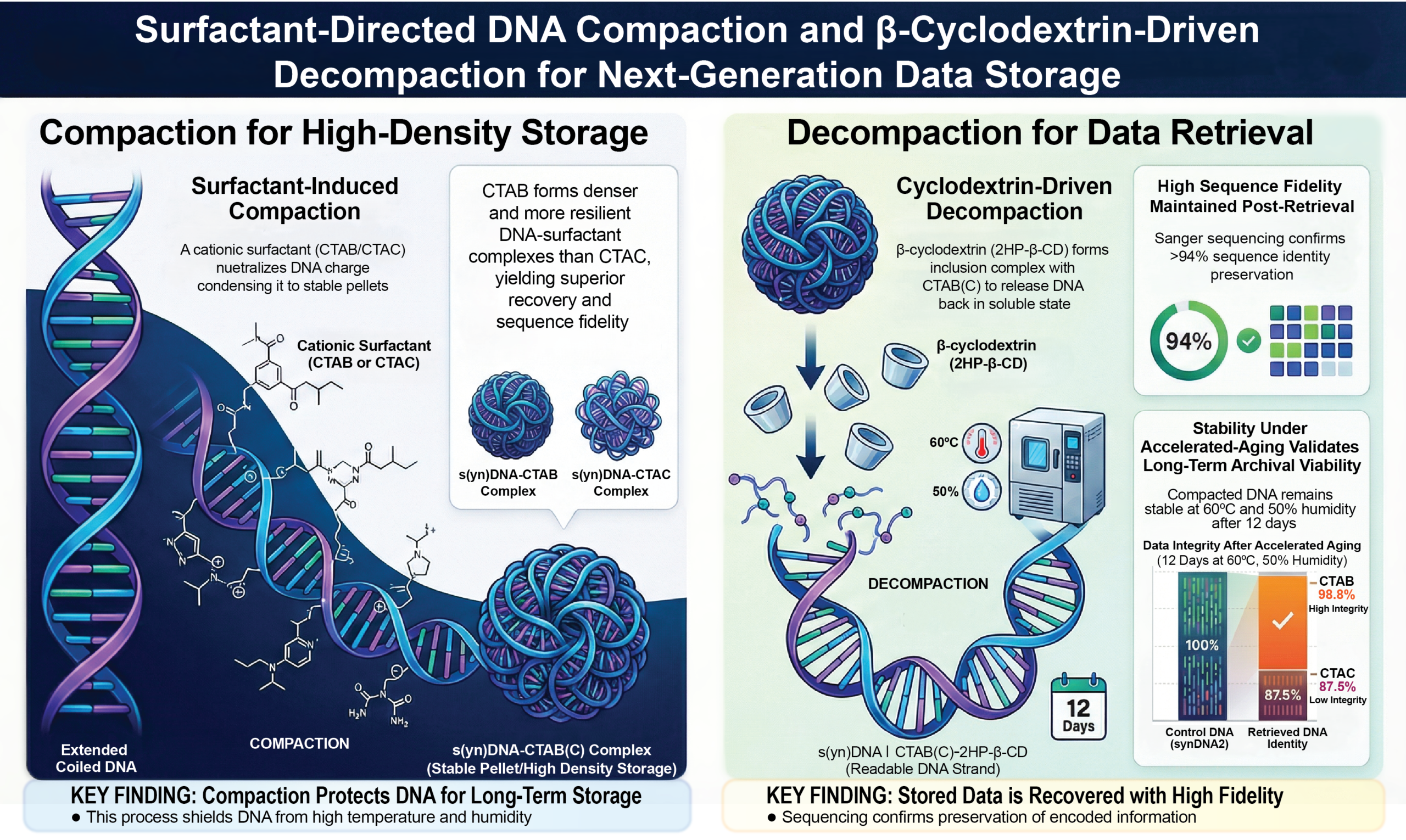 Reversible DNA Compaction as a Physical Platform for Long-Term ...