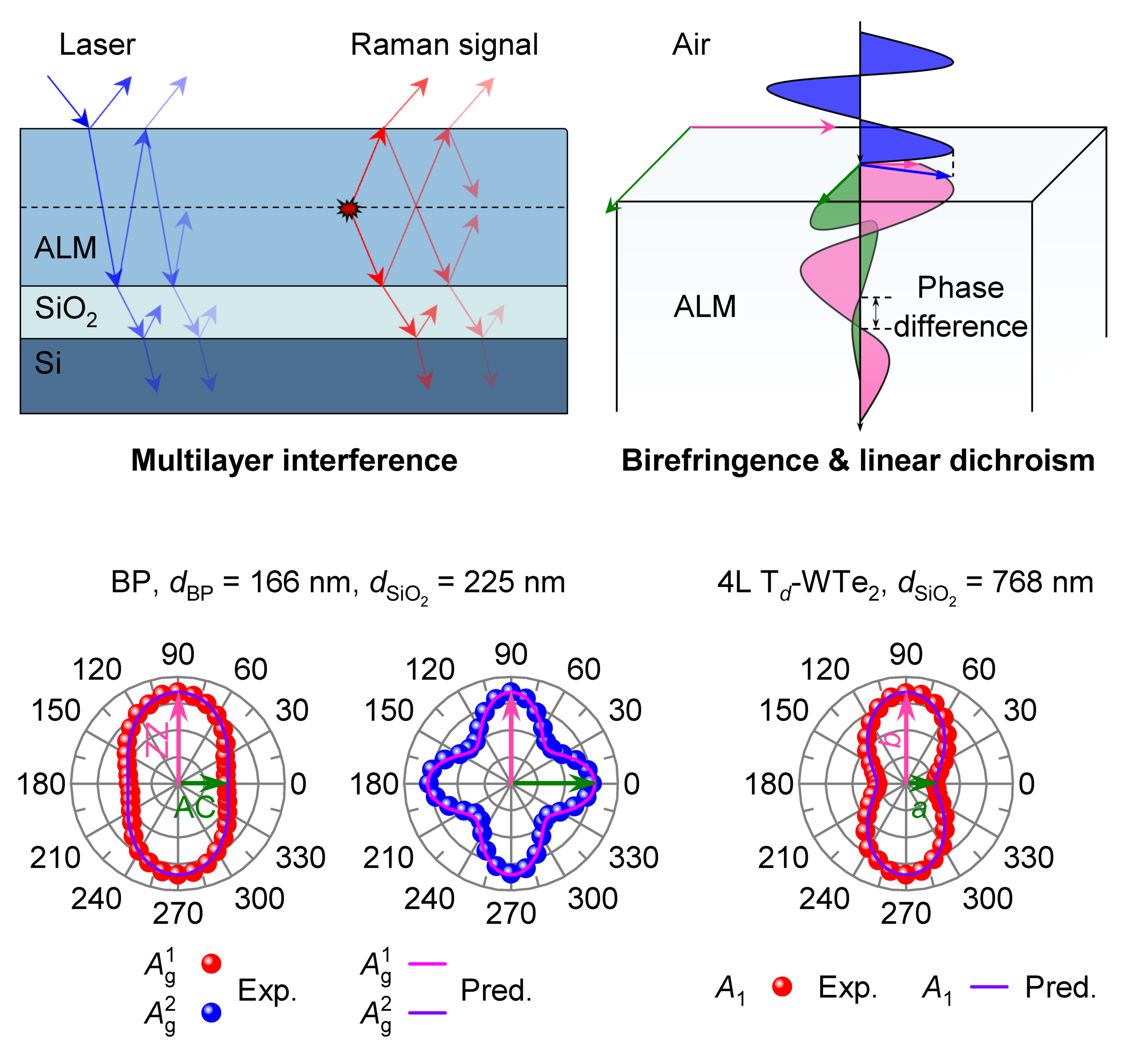 A Unified Framework for Polarized Raman Intensity in Anisotropic ...